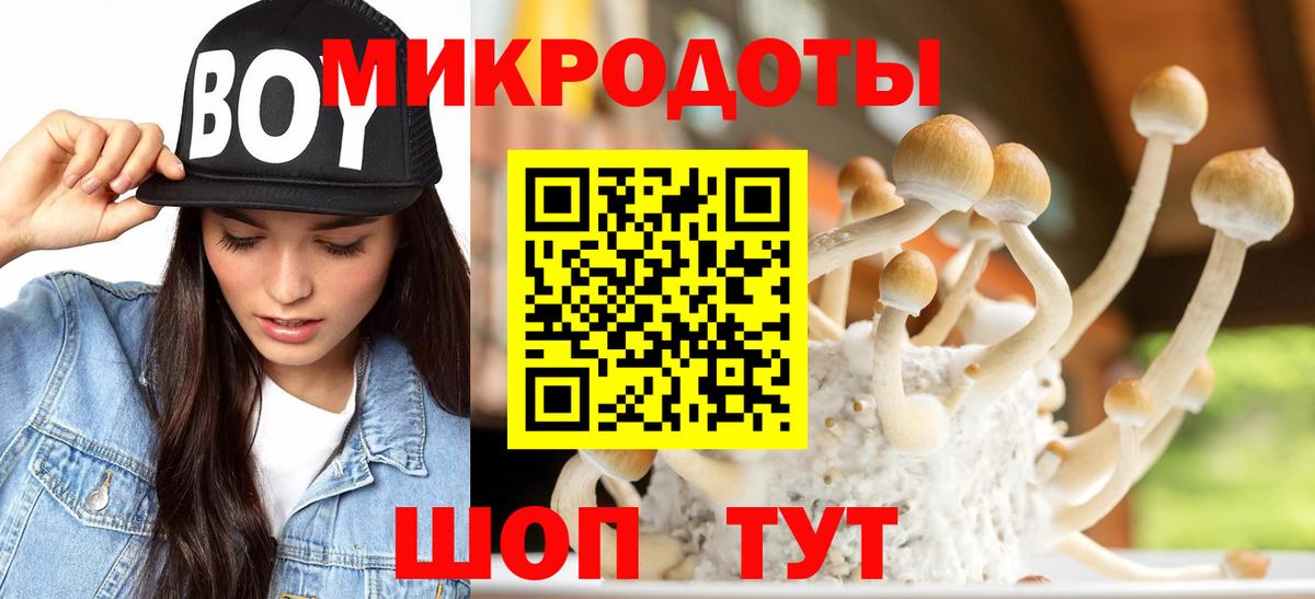 Менделеевск  Псилоцибиновые грибы мухоморы  Галлюциногенные грибы Psilocybe  Вход с VPN 